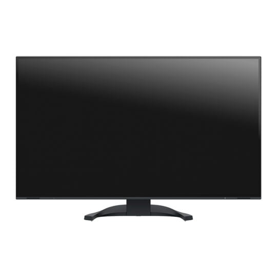 EIZO FlexScan 31.5" Monitor